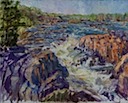 Great Falls With Pine