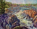 Great Falls With Pine