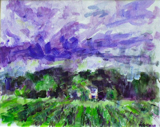 House in the Vineyard