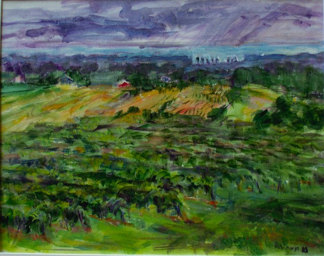 Vineyard